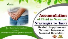 Learn about natural treatments that may help to reduce Accumulation of Fluid in Scrotum. Find out more about what causes this condition.
