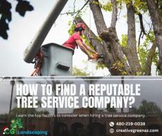 When it comes to finding a reputable tree service company, it's essential to choose wisely. Our landscaping experts near you can guide you through the process, ensuring you find a reliable and professional tree service provider. Start by researching local companies that specialize in tree care and maintenance. Look for certifications, licenses, and insurance to ensure they meet industry standards. Read customer reviews and testimonials to gauge their reputation and reliability. Additionally, our team can provide recommendations based on their experience and knowledge of the local landscaping industry. Trust us to help you find a reputable tree service company that will meet your needs.


Contact us today for a FREE consultation!
480-219-0038
https://creativegreenaz.com/cgl-lp/