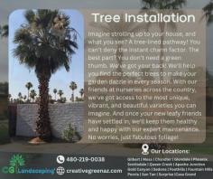 Hey there, nature lovers! Want to bring some natural beauty to your surroundings? Get in touch with the top-notch team at CGL Landscaping for all your tree installation needs! Whether you're looking to add shade, enhance privacy, or simply create a serene ambiance, we've got you covered. Give us a call today and let's get started on your dream landscape!

Get a Free Quote 
480-219-0038
creativegreenaz.com