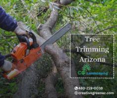 Enhance the Beauty and Health of Your Trees in Arizona: Discover the importance of professional tree trimming services tailored specifically for Arizona's unique climate. From promoting tree growth and structural integrity to ensuring safety and aesthetics, expert tree trimming in Arizona is the key to maintaining stunning landscapes and healthy trees. Trust the professionals to keep your trees in top shape!

Contact us today for a FREE consultation!
