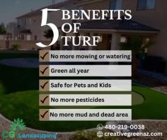 Looking for a lush and low-maintenance lawn? Check out these 5 amazing benefits of turf! 


Get a Free Quote 
480-219-0038
https://creativegreenaz.com/cgl-lp/