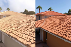 All American Pressure Washing LLC is one of the best Roof Cleaning Experts in New Iberia LA. We have best expertise in roof cleaning. For more information visit our site.