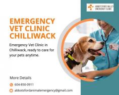 Premier Emergency Vet Clinic in Chilliwack

Experience exceptional emergency veterinary care at Abbotsford Vet Emergency's clinic in Chilliwack. Our skilled team of veterinarians and compassionate staff is dedicated to providing prompt and comprehensive care for your pets during critical situations. With state-of-the-art facilities, we are equipped to handle various emergencies. Trust our expertise and commitment to deliver the highest quality of care for your beloved companions.
