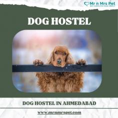 Pet Boarding Service in Ahmedabad, Gujarat: Mr n Mrs Pet offers the best home-based dog boarding service in Ahmedabad near you. Like dog daycare, drop-in visits, house sitting, and a dog hostel in Ahmedabad
Visit Site : https://www.mrnmrspet.com/dog-hostel-in-ahmedabad