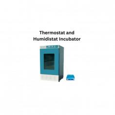 Thermostat and humidistat incubator is a floor standing incubator for temperature and humidity control. Digital PID controller and LED display ensures uniformity throughout the duration of the program. Insulated stainless steel interior and powder coated exterior provides protections against corrosion and chemical damage.