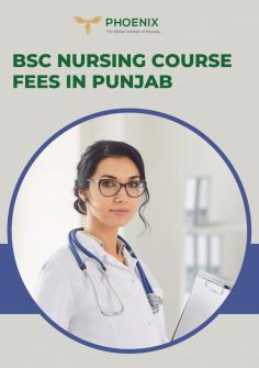 Phoenix Nursing Institute allows students to access quality nursing education without breaking the bank. Our affordable nursing school in Punjab offers top-notch programs at prices that won't strain your budget. The Bsc nursing course fees in Punjab can be a source of worry for many students; we are here to curb the gap between quality education and financial relief. We're committed to helping you achieve your dreams of becoming a skilled and compassionate nurse without the burden of overwhelming student debt.

More : https://www.phoenixnursinginstitute.org/fee-particulars

