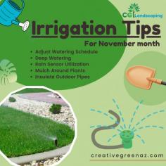 November's chill calls for smart irrigation! Adjust your watering schedule, conserve water, and prep for winter freeze. Remember, deep watering promotes root health. Let's make every drop count!


https://creativegreenaz.com/