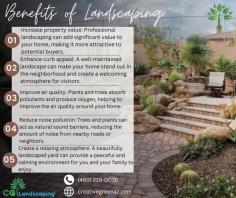 Discover the 5 Incredible Benefits of Landscaping Near Me! 

Get a Free Quote 
(480) 219-0038
creativegreenaz.com