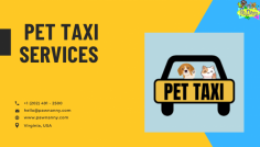 Pawnanny Pet Taxi offers safe and reliable transportation services for your furry friends. Our experienced drivers ensure your pet's comfort and safety during the journey. Whether you need to take your pet to the vet, groomer, or any other destination, Pawnanny Pet Taxi provides a stress-free travel experience. With our pet-friendly vehicles and compassionate team, you can trust us to transport your pet with care and professionalism. For more visit us on https://www.pawnanny.com/pet-taxi-services
