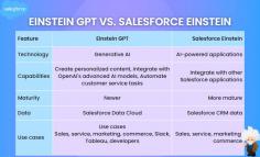 Key Differences Between Einstein GPT and Salesforce Einstein
