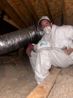 Unlock the perks of top-notch attic insulation in Houston! Slash energy bills, amplify coziness, and transform your home into an energy-efficient haven. Dive into the advantages of Attic Insulation Houston – your ticket to a wallet-friendly and snug living experience.
Visit now for more info: https://g.co/kgs/hCK52j
