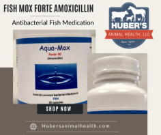 Control Fish Common Bacterial Infections

Find the best antibiotics for fish at affordable prices with the Fish Amoxicillin collection from Huber’s Animal Health LLC. Each capsule contains 500 mg of amoxicillin, available in a pack of 30 tablets. Order now and keep your fish healthy. Send us an email at sales@hubersanimalhealth.com for more details.