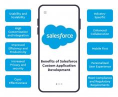 Benefits of Salesforce Custom Application Development