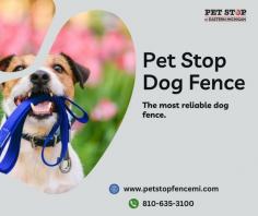 Secure Your Furry Friend with Pet Stop Dog Fence 

Discover the unmatched protection and freedom for your beloved pet with Pet Stop Dog Fence. Explore our advanced containment solutions designed to keep your furry companion safe and happy. Invest in the best for your pet's well-being today.

For more info, visit: https://petstopfencemi.com/

