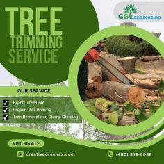 Transform your outdoor space with CGL Tree Services. Our team of experts is here to elevate your landscape, from precision tree trimming to efficient removals. We're not just about trees; we're about enhancing your green haven! Experience top-notch service and unmatched expertise. Your trees, our passion!
