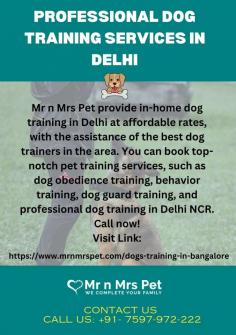Professional Dog Training Services in Delhi	

Mr n Mrs Pet provide in-home dog training in Delhi at affordable rates, with the assistance of the best dog trainers in the area. You can book top-notch pet training services, such as dog obedience training, behavior training, dog guard training, and professional dog training in Delhi NCR. Call now!

View Site: https://www.mrnmrspet.com/dogs-training-in-delhi
