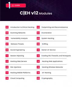 The Certified Ethical Hacker (CEH) v12 certification program encompasses various modules designed to equip individuals with the knowledge and skills necessary to understand and defend against potential cyber threats and attacks. 