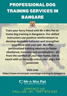 Professional Dog Training Services in Bangalore	

Train your furry friend with Mr n Mrs Pet at-home dog training in Bangalore. Our skilled instructors use positive reinforcement to develop desirable behavior and strengthen your bond with your pet. We offer personalized training sessions to foster obedience, manners, and socialization - all from the comfort of your own home. Get in touch with us today to unlock your dog's full potential!

View Site: https://www.mrnmrspet.com/dogs-training-in-bangalore

