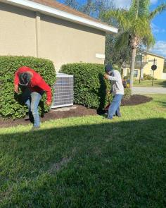 We are a leading provider of lawn care services throughout the Fort Myers and surrounding area of Florida.  Call 239-728-1999 to get commercial or residential lawn care services by the specialists.

http://www.greenleaflawnservices.com/about/

