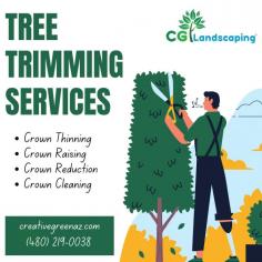 Transform your landscape with precision! CGL's Tree Trimming Services sculpt beauty and ensure tree health. Elevate your outdoors with our expertise!


https://creativegreenaz.com/