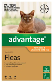 " Advantage: Dog & Cat Flea Control | Low Prices | VetSupply

Advantage for cats is a monthly flea treatment. Applied topically the treatment kills 98-100% fleas within just 20 minutes. The topical solution affects re-infesting fleas within 3 to 5 minutes, kills re-infesting adult fleas within 1 hour and flea larvae in your cat’s surroundings within 20 minutes of contact with the active ingredient. 

For More information visit: www.vetsupply.com.au
Place order directly on call: 1300838787"