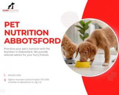 Pet Nutrition Abbotsford can help you learn about the right nutrition

At our Nutrition House Abbotsford we can help you learn about the right nutrition balance for your dog or cat young or old, healthy, or facing the challenges of diabetes or obesity. Pet Nutrition Abbotsford plays a vital role in maintaining the quality of life of your dog or cat.