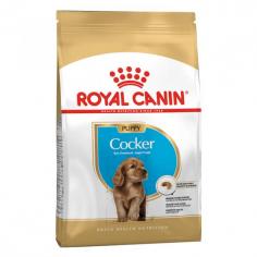 Royal Canin Puppy Cocker Spaniel Dry Dog Food: This diet contains a balance of nutrients to support their growth and development including high-quality proteins and prebiotics.
