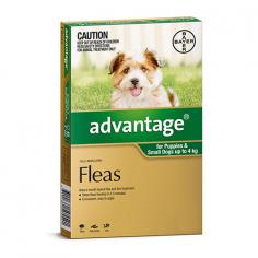 "Advantage Flea Control Treatment for Dogs and Cats | VetSupply

Protecting your furry companions against fleas is a breeze with Advantage. This range features topical treatments for dogs and cats that kill parasites on contact, preventing the need for insect bites. A single spot-on treatment protects pets for an entire month. It can be given to pets throughout the year for year-round protection.

For More information visit: www.vetsupply.com.au
Place order directly on call: 1300838787"