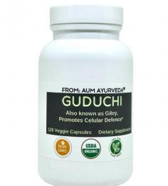 Guduchi Capsules- Ayurveda Plaza

Guduchi, also known as Giloy, (Tinospora cordifolia) capsules are made from the finest quality stems of organically grown and nutrient-rich Guduchi plants. In Ayurveda, it is considered as the ‘Elixir of life’ or ‘Amrit’ due to its numerous health benefits.  Guduchi provides efficient protection against seasonal illnesses by promoting healthy immune function and boosting your metabolism.

https://ayurvedaplaza.com/collections/ayurvedic-herbal-tablets-and-capsules/products/organic-guduchi-800-mg-120-veggie-capsules

