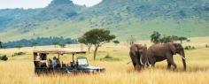 kenya tour package :

Explore Kenya's Natural Wonders with Our Exclusive Tour Package. Witness the Beauty of Wildlife Safaris, Scenic Landscapes, and Rich Culture. Book Your Unforgettable Kenya Tour Package Today!
