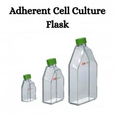 An adherent cell culture flask is a type of laboratory equipment used for growing adherent cells, which are cells that require a surface for attachment and growth. These flasks are typically made of transparent plastic, such as polystyrene, and come in various sizes ranging from a few milliliters to several liters.It specialized container that wear a capacity of 50 mL for the growth and maintenance of adherent cells by utilizing an environment that promotes cell adhesion and proliferation.
