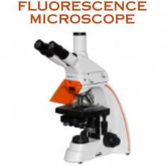 Fluorescence Microscope NFM-100 is an optical microscope made up of solid brass body that uses fluorescence for screening for organic and inorganic substances. It is equipped with halogen lamp as the light source with adjustable brightness. The full range coarse adjustment feature ensures increased visibility of the cell properties.