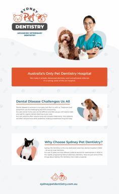 Sydney Pet Dentistry is the only specialised hospital in Australia dedicated to providing comprehensive dental care for pets. With a singular focus on pet dentistry and oral surgery, we make it our mission to simplify the process and ensure exceptional treatment outcomes.