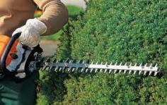 Get the Best Hedge Cutting in Amersham at Holmes Garden Services. Visit for more information- https://maps.app.goo.gl/YdBLGKWwx8jdr1bTA
