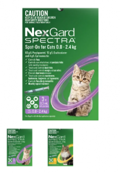 "Nexgard Spectra Spot On for Cats | VetSupply

Nexgard Spectra efficacious monthly treatment kills external and internal parasites like fleas, ticks, notoedric mange, heartworms, worms, including flea tapeworms and cat tapeworms

For More information visit: www.vetsupply.com.au
Place order directly on call: 1300838787"