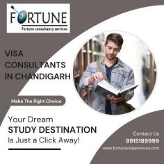 Looking for visa consultants in Chandigarh? Look no further than Fortune Visa Services! Our team of experienced consultants is dedicated to providing personalized guidance and support throughout the visa application process. With our services, you can rely on our expertise and friendly approach to ensure a hassle-free experience. Trust Fortune Visa Services to make your study visa journey smooth and successful, so you can focus on your exciting educational adventure ahead.
