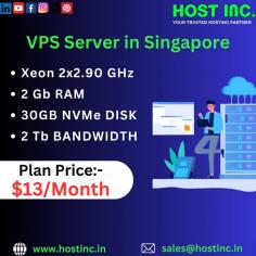 Enjoy all the benefits of virtual private servers in Singapore. Work with maximum efficiency with VPS by Hostinc.

