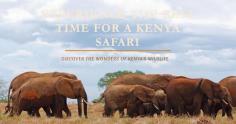Safari Splendor: Unveiling the Best Vacation Packages to Kenya


For travelers seeking a combination of luxury and wildlife experiences, there are numerous all-inclusive vacation packages available that cater to their desires. These packages offer a comprehensive experience, combining comfortable accommodations with unique activities and excursions.

Source Link:  https://safaritour.bcz.com/2024/03/06/the-art-of-timing-ensuring-an-unforgettable-kenya-safari-experience/
