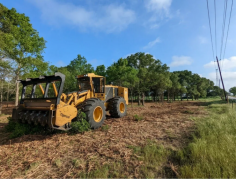 Orlando Florida Land Clearing Services specializes in tackling the formidable terrain and large trees of the Orlando area. We excel in site prep, brush removal, invasive tree clearing, and forestry mulching. Contact us to handle your toughest land clearing tasks with precision and efficiency.
