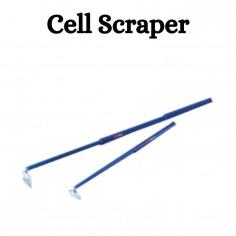 A cell scraper is a laboratory tool used in cell culture techniques to detach adherent cells from the surface of a culture vessel, such as a tissue culture dish or flask. It typically consists of a long handle with a flat, blade-like end made of plastic or metal. The blade is used to gently scrape the cells from the culture vessel while minimizing damage to the cells.Our scraper come in various shapes and sizes to accommodate different culture vessels with safety. Upgrade with DNase, RNase, and pyrogenic free reagent to prevent contamination and degradation of genetic material.

