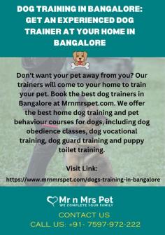 Dog Training in Bangalore: Get an Experienced Dog Trainer at your Home in Bangalore	

Don't want your pet away from you? Our trainers will come to your home to train your pet. Book the best dog trainers in Bangalore at Mrnmrspet.com. We offer the best home dog training and pet behaviour courses for dogs, including dog obedience classes, dog vocational training, dog guard training and puppy toilet training.

View Site: https://www.mrnmrspet.com/dogs-training-in-bangalore

