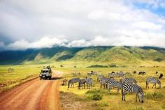 kenya tour package :  Explore Kenya's Natural Wonders with Our Exclusive Tour Package. Witness the Beauty of Wildlife Safaris, Scenic Landscapes, and Rich Culture. Book Your Unforgettable Kenya Tour Package Today!


