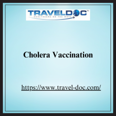 Cholera Vaccination

Cholera is an acute diarrhoeal illness caused by a bacteria. The disease infects the small bowel and causes painless, watery diarrhea. It is known to infect only humans.

Cholera is usually transmitted via infected water that has been contaminated by faeces and less commonly via food.

The disease is found throughout the world particularly in countries where sanitation is poor, particularly parts of Africa, India and South East Asia.

See more: https://www.travel-doc.com/service/cholera/
