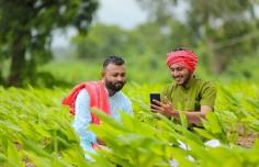 In this blog,we will provide information about Union Bank of India's Digital Kisan Credit Card (KCC) Scheme and the application process.