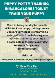 Puppy Potty Training in Bangalore | Toilet Train your Puppy	

Want to train your dog for specific skill? Book our puppy training service. Dogs are very capable of learning a variety of skills from following your basic instruction to assisting a disabled. Book the best puppy dog trainer in Bangalore at mrnmrspet.com.

View Site: https://www.mrnmrspet.com/dogs-training-in-bangalore

