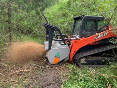 Reclaim your overgrown Tampa property with Florida Land Clearing! We offer professional land clearing, brush removal, and forestry mulching services for residential & commercial projects. Our experienced team efficiently clears land, leaving a clean slate or nutrient-rich mulch for your dream project. Get a free quote today and see the possibilities emerge!