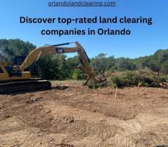 Visit this link for more information: https://orlandolandclearing.com/