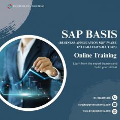 Unlock the power of SAP BASIS Training with our comprehensive online courses. Dive deep into the intricacies of SAP Business Application Software Integrated solution with our expert-led SAP BASIS Online Training. Whether you're new to SAP BASIS or seeking SAP BASIS Certification, our courses are tailored to meet your learning needs.
Our SAP BASIS course is designed to equip you with the essential skills and knowledge required to manage SAP systems effectively. From system administration to performance tuning, our experienced instructors will guide you through every aspect of SAP BASIS Training.
With flexible online classes, you can learn at your own pace and convenience. Our interactive sessions ensure active engagement and practical learning, making SAP BASIS Online Training both effective and enjoyable.
Gain hands-on experience with real-world scenarios and projects, preparing you for the challenges of implementing and maintaining SAP systems. Whether you're an IT professional looking to enhance your skills or an organization seeking to upskill your workforce, our SAP BASIS course delivers tangible results.
Enroll now and take the first step towards mastering SAP BASIS Training. Elevate your career prospects and become proficient in SAP's foundational technology. Don't miss out on this opportunity to become a certified expert in SAP BASIS.
Contact Us for details.
Mail: Rahul@proexcellency.com  | Info@proexcellency.com
Call: +91-7008791137 | 9008906809
