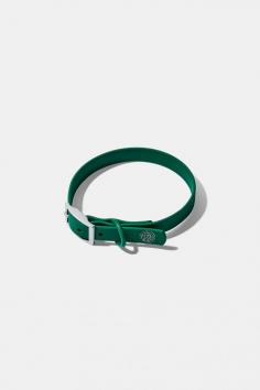 Add a pop of color to your dog's look with our vibrant green dog collar, which is sturdy & chic, perfect for walks & playtime, also adds flair to any adventure.