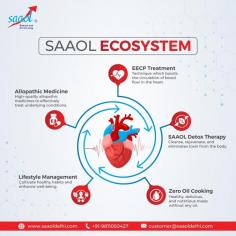 SAAOL Ecosystem
